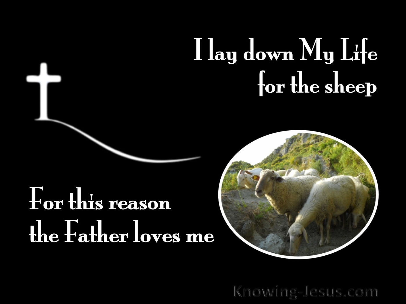 John 10:17  I Lay Down My Life For The Sheep (black)